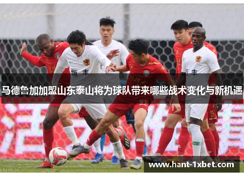 马德鲁加加盟山东泰山将为球队带来哪些战术变化与新机遇 马德鲁加加盟山东泰山将为球队带来哪些战术变化与新机遇