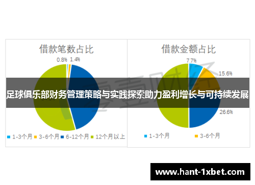 足球俱乐部财务管理策略与实践探索助力盈利增长与可持续发展
