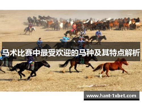 马术比赛中最受欢迎的马种及其特点解析 马术比赛中最受欢迎的马种及其特点解析
